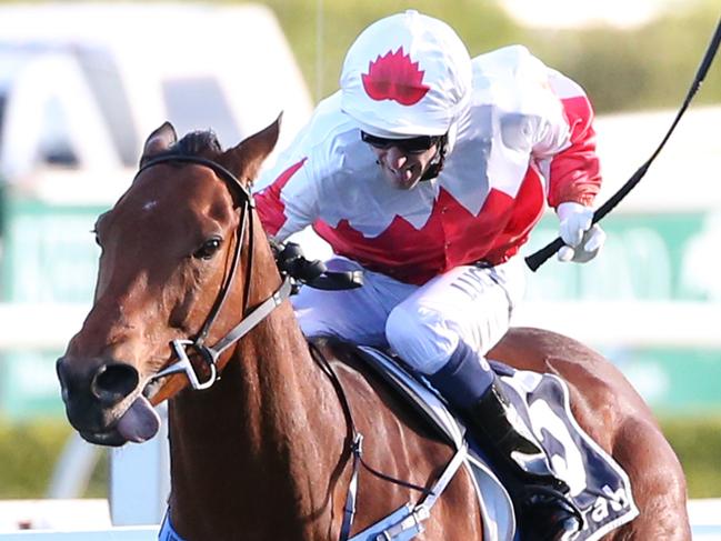 Jockey Blake Spriggs on Sir John Hawkwood lead the chasing pack as they win the McGrath Estate Agents Metropolitan race during the TAB Epsom Day at Randwick racecourse in Sydney, Saturday, Oct. 1, 2016. (AAP Image/David Moir) NO ARCHIVING, EDITORIAL USE ONLY