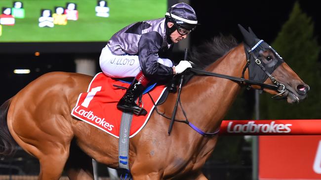 Houtzen bounced back from her first-up defeat to win the Scarborough Stakes at Moonee Valley on Friday night.