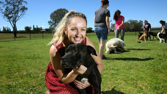 Camden Council will not kill any rehomable animals in its pound | Daily ...