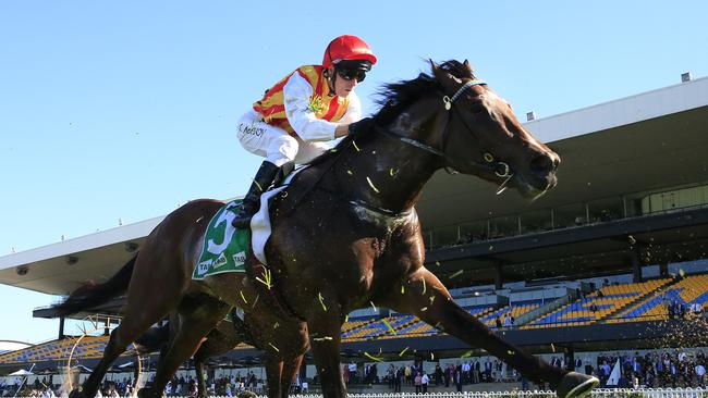 Peltzer won the Stan Fox over 1500m at Rosehill last start. Picture: Getty Images