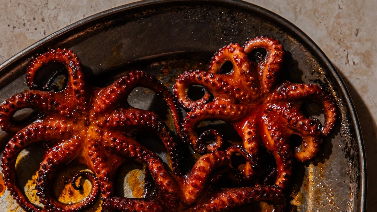 Sizzling Summer BBQ: Quick and Easy Grill Recipes