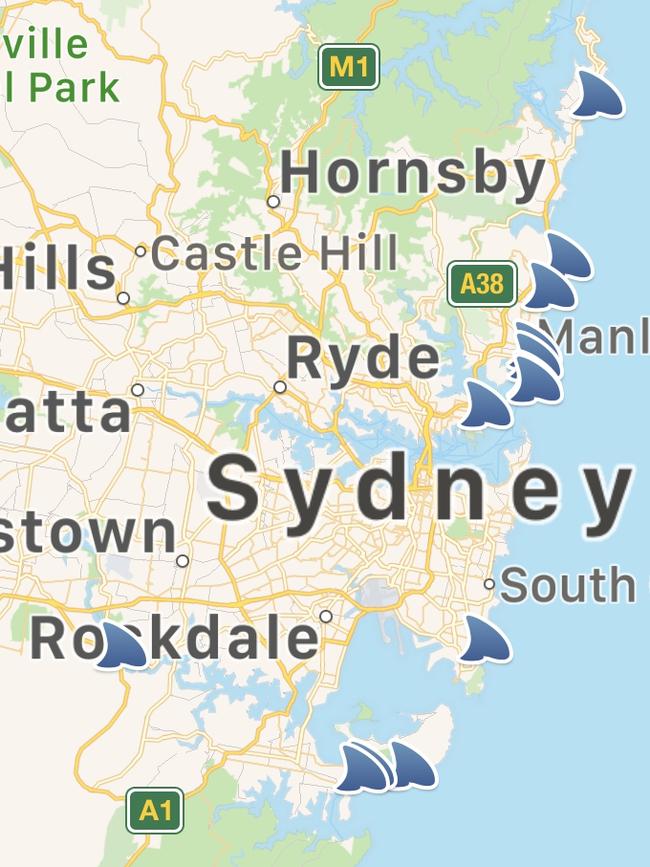 The Dorsal app shows 12 sharks encounters in the last 30 days off Sydney.