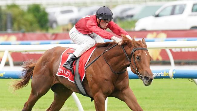 Palm Angel ridden by Ethan Brown wins the Henley Homes Merson Cooper Stakes at Caulfield Racecourse on November 30, 2024 in Caulfield, Australia. (Photo by Scott Barbour/Racing Photos via Getty Images)