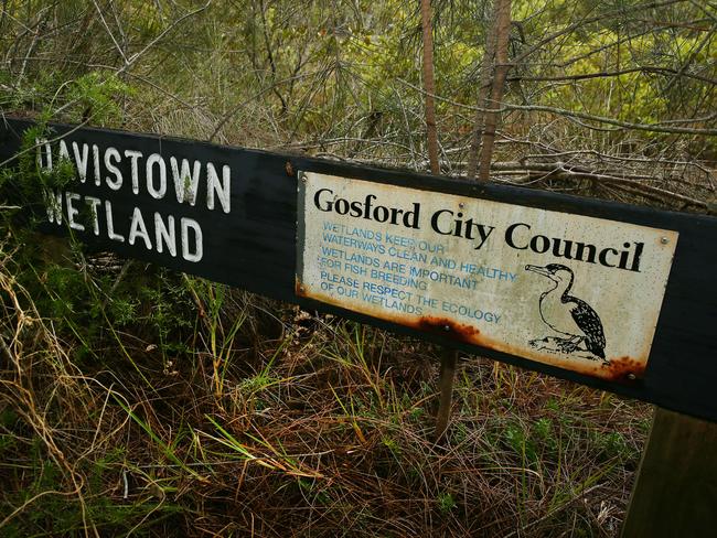 A property adjoining Pine Ave and Lilli Pilli St, Davistown, has been signposted as a wetland by the former Gosford City Council. Picture: Peter Clark