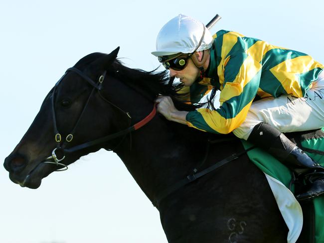 The Special Two ridden by Tye Angland wins race 5 for James Cummings during Canterbury Midweek races. pic Mark Evans