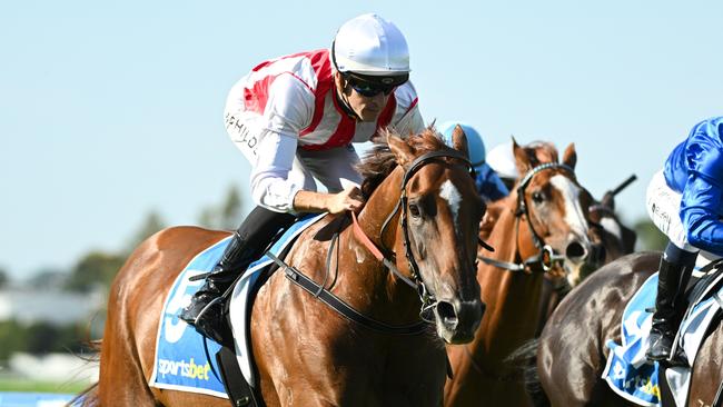 Zloties has been retired earlier than planned because of injury. Picture: Getty Images