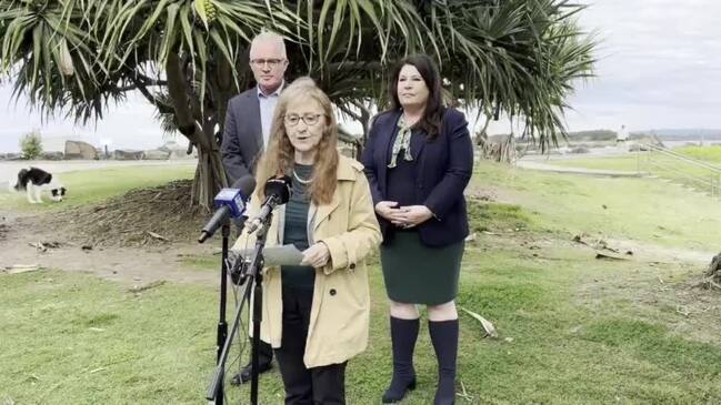 Parliamentary Secretary Officer for Disaster Recovery Janelle Saffin discusses a Ballina funding boost to secure more diverse housing options. Video: Savannah Pocock