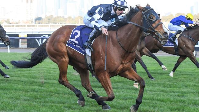 Honest sprinter It’sourtime will be hard to hold out in the Group 3 Standish Handicap at Flemington. Picture: Racing Photos via Getty Images.