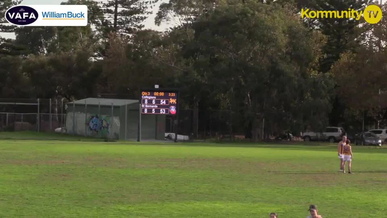Replay: Collegians v St Bernards (Premier) - 2025 VAFA Round 4