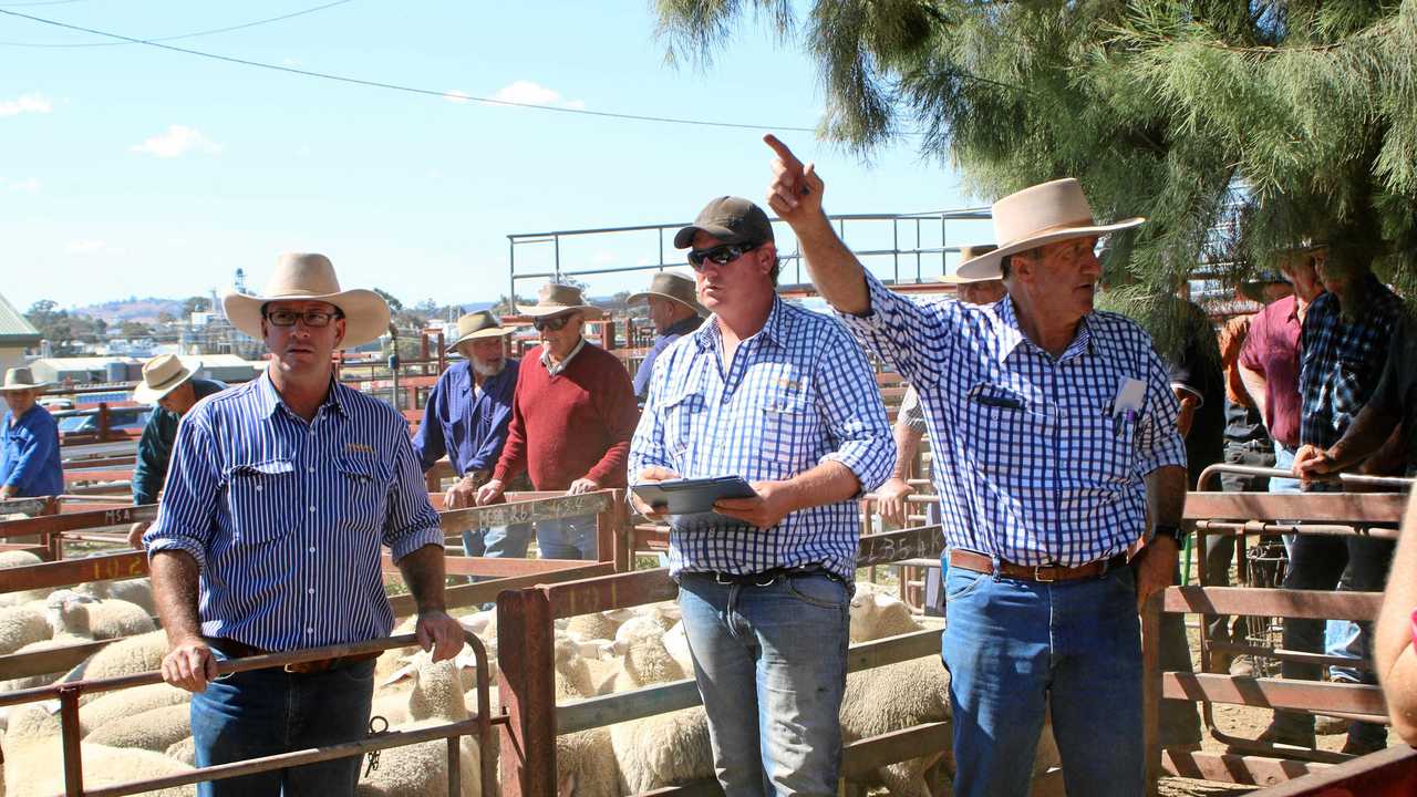 RAISING THE BAA: Warwick auctioneer David Friend (right) auctioning off at a sheep sale. Picture: Sophie Lester