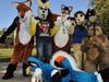 Puss in police boots: SAPOL officer identifies as a ‘furry’