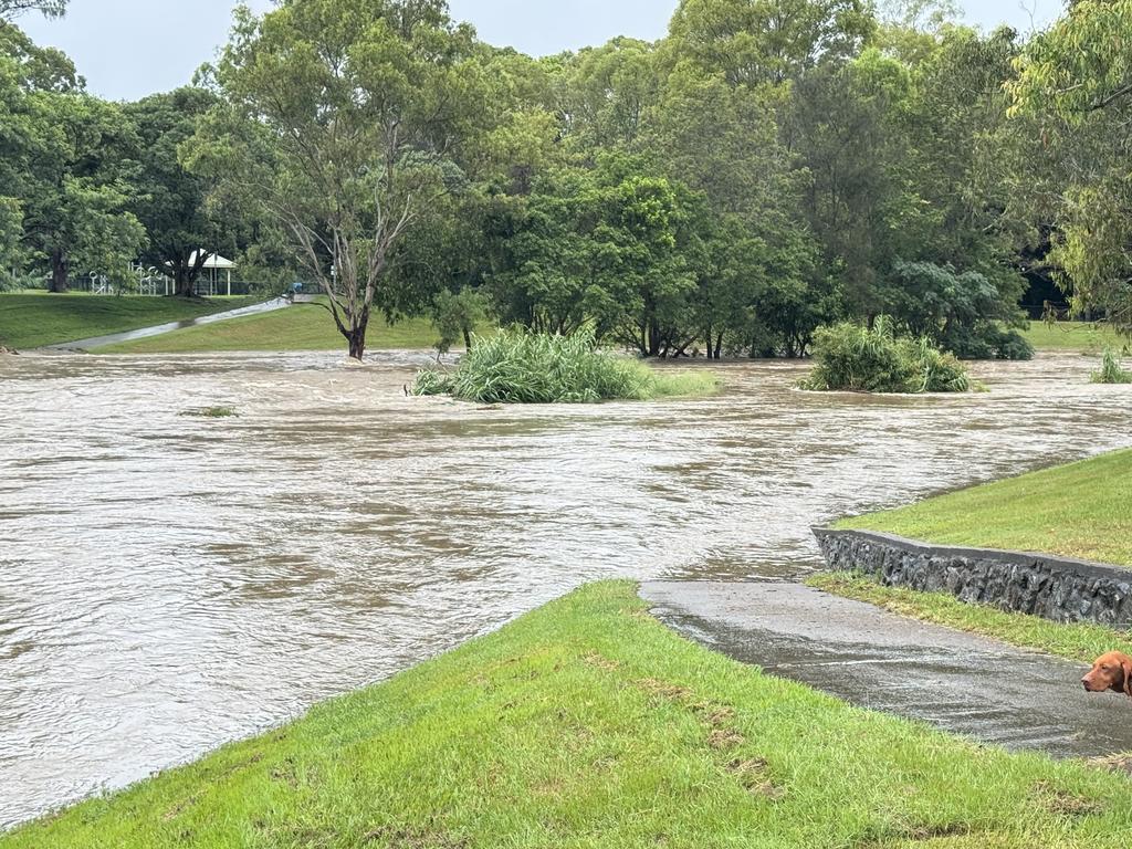 Kedron Brook near Grange Residences. Picture: Sean Callinan