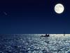Creatures in the night: How to survive NT fishing after dark