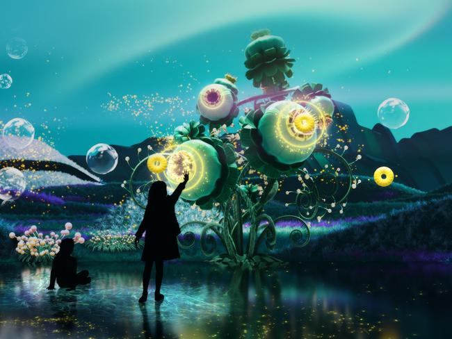 Audiences will be able to ‘pick up assets’ and ‘pop bubbles’ in Eden, which is making its international debut at Illuminate. Picture: flora&amp;faunavisions