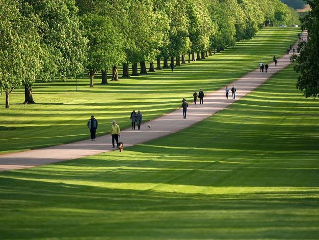 The Long Walk at Windsor Castle will be packed with happy onlookers. Picture: Christopher Furlong/Getty Images