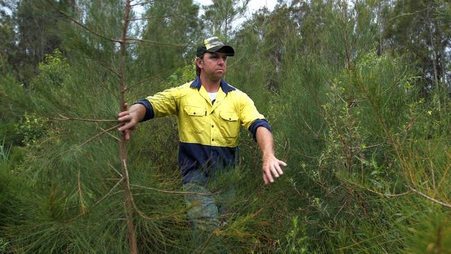 Mark Backstone has helped to revitalise parts of Schuster Park by planting native trees.