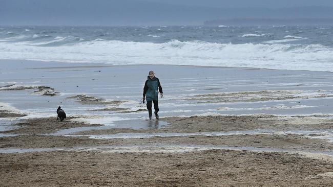 Ted braved the driving wind and rain to give his dog Snoot a walk at Kingston Beach. Picture: MATHEW FARRELL