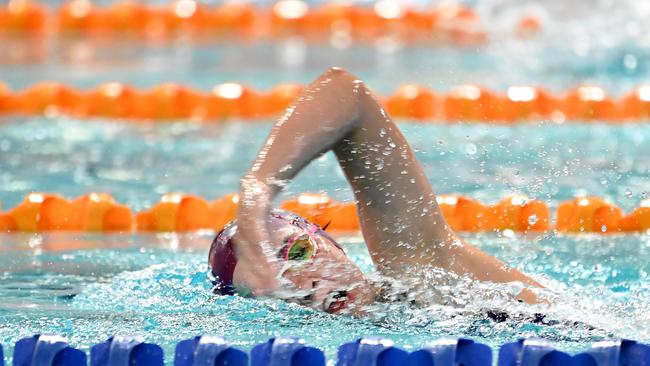 QGSSSA swimming championships Thursday February 29, 2024. Picture, John Gass