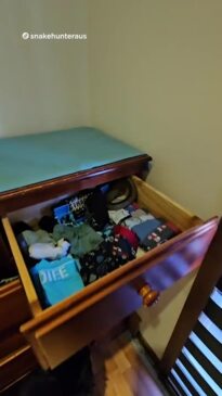 Child's Dresser Drawer Reveals Unexpected Guest!