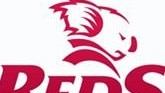 Queensland Reds logo.