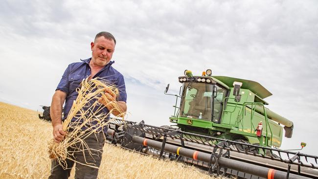 Mallee grain grower Sam Wright inspects his barley crop as clouds gather.