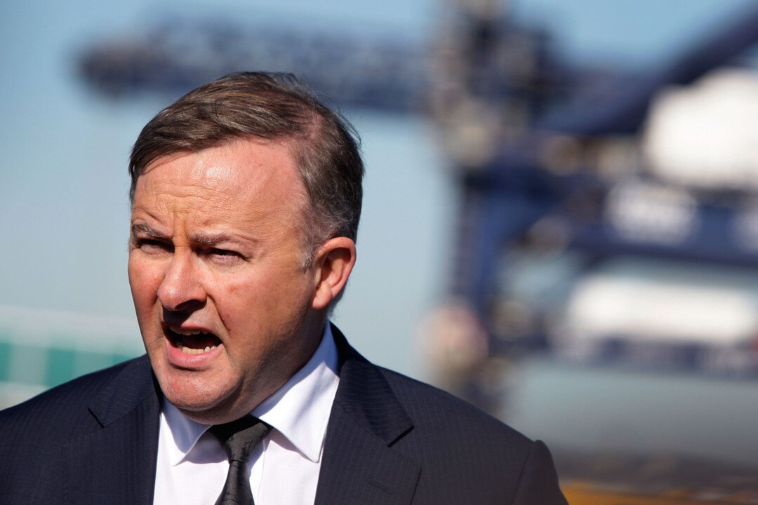 Albanese's spat with Fitzgibbon 'must have made those present question his nous'