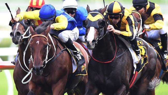 Le Romain pushes Trapeze Artist all the way in the 2018 All Aged Stakes. Picture: AAP