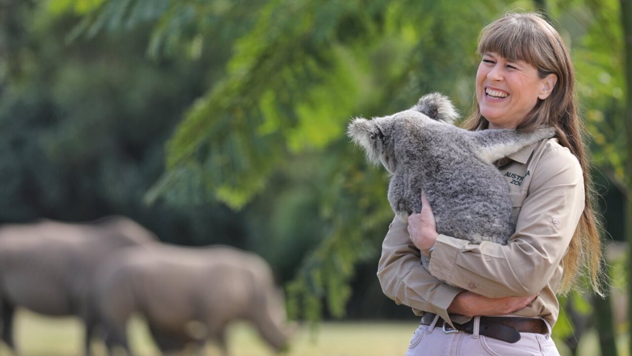 Queensland government launches $7 million tourism campaign