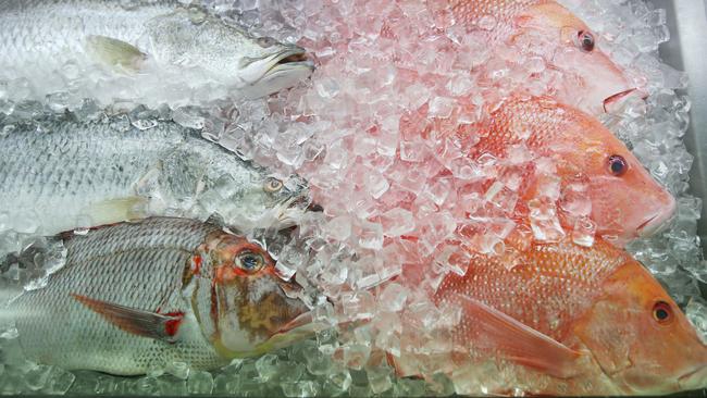 The Queensland seafood and commercial fishing industry has been devastated by a fall in demand and price caused by the impacts of the coronavirus on the economy and behaviour.