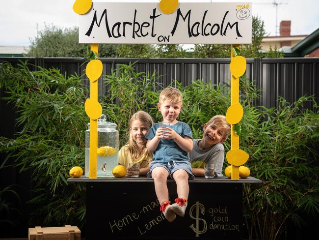 Amalie, 8, Xavier, 6, and Remy, 3, built a lemonade stand and raised almost $450 for bushfire victims. Picture: Brad Fleet