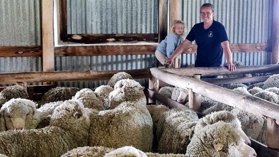 Breony Vickery preparing sheep for shearing.