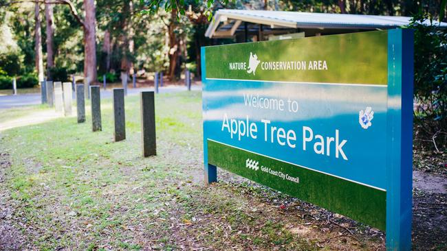 Apple Tree Park, Springbrook. Picture: City of Gold Coast