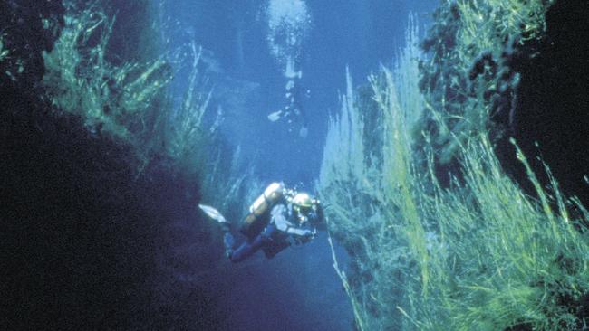 Cave diving at Piccaninnie Ponds near Mount Gambier. Picture: SA Tourism Commission