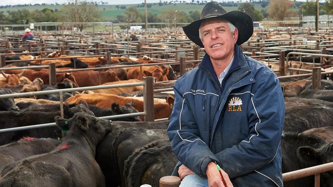 Steve Condell at the saleyards near Wagga Wagga, NSW. Picture: Michael Frogley