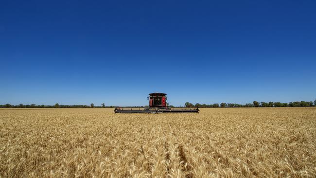 Agriculture thrives: High agricultural commodity prices, low interest rates and positive seasonal conditions are underpinning a positive outlook for most farmers in 2020-21. Picture: ZOE PHILLIPS