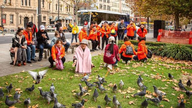 Feeding pigeons in the city.