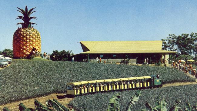 The Big Pineapple in Nambour, c. 1975. Picture: Apic/Getty Images