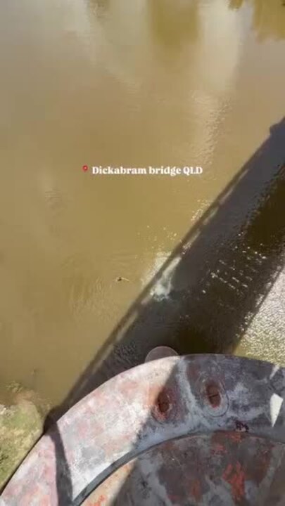 Dickabram Bridge daredevils video themselves in death defying dives