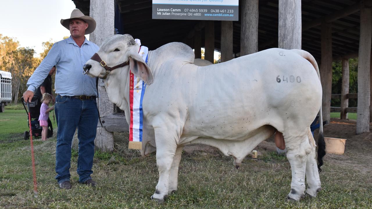 Lawson Camm of Proserpine and his Grand Champion All Breeds Bull ‘Cambil Django’. Picture: Kirra Grimes