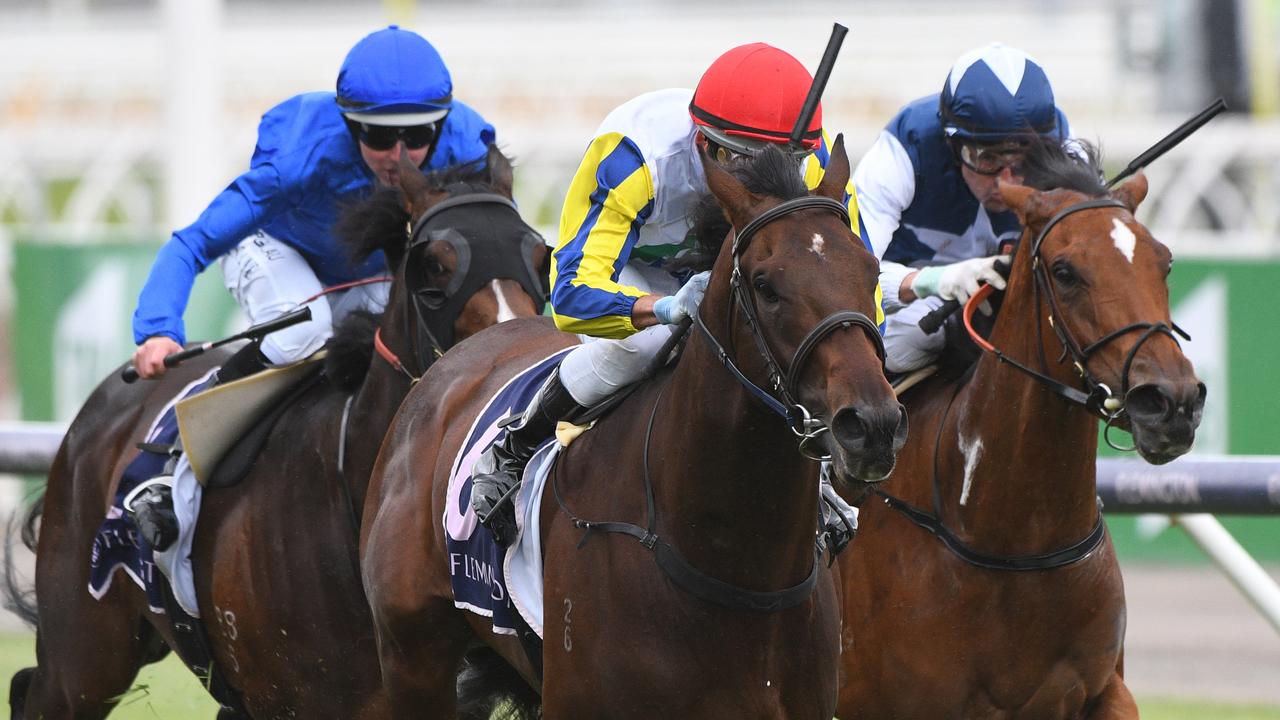 Banquo heads into the Sandown Guineas in winning form after scoring at Flemington last week. Picture: AAP