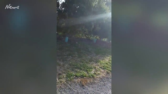 Dirt bike near playground in Morphett Vale