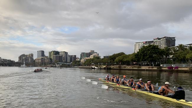 Rowers prepare for the King's Cup on the Brisbane River. Picture: Supplied