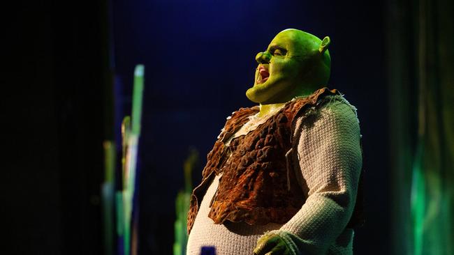 Ben performs as Shrek. Picture: Mark Stewart