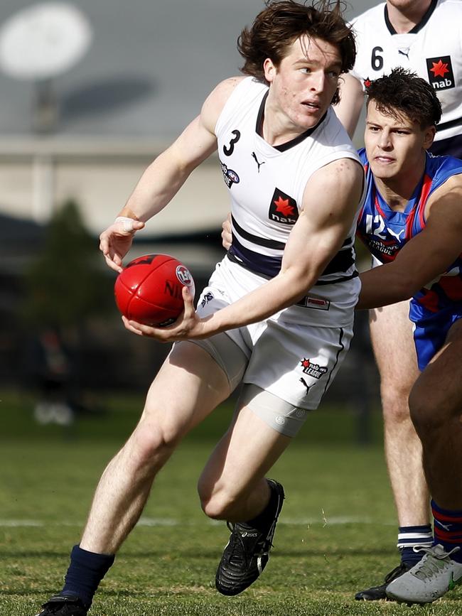 Josh Ward in action for the Northern Knights.