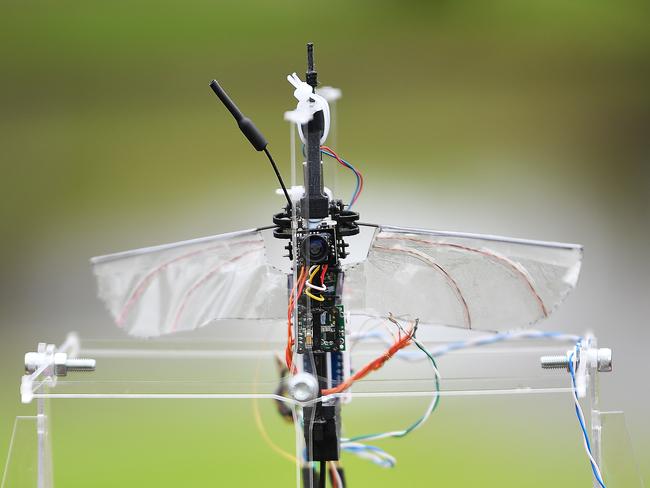 Pollination Drone designed by University of Adelaide mechanical engineering students, James Cartwright, William Foster-Hall, William Tam and Harshil Vinod Wednesday June 24,2020.Picture Mark Brake