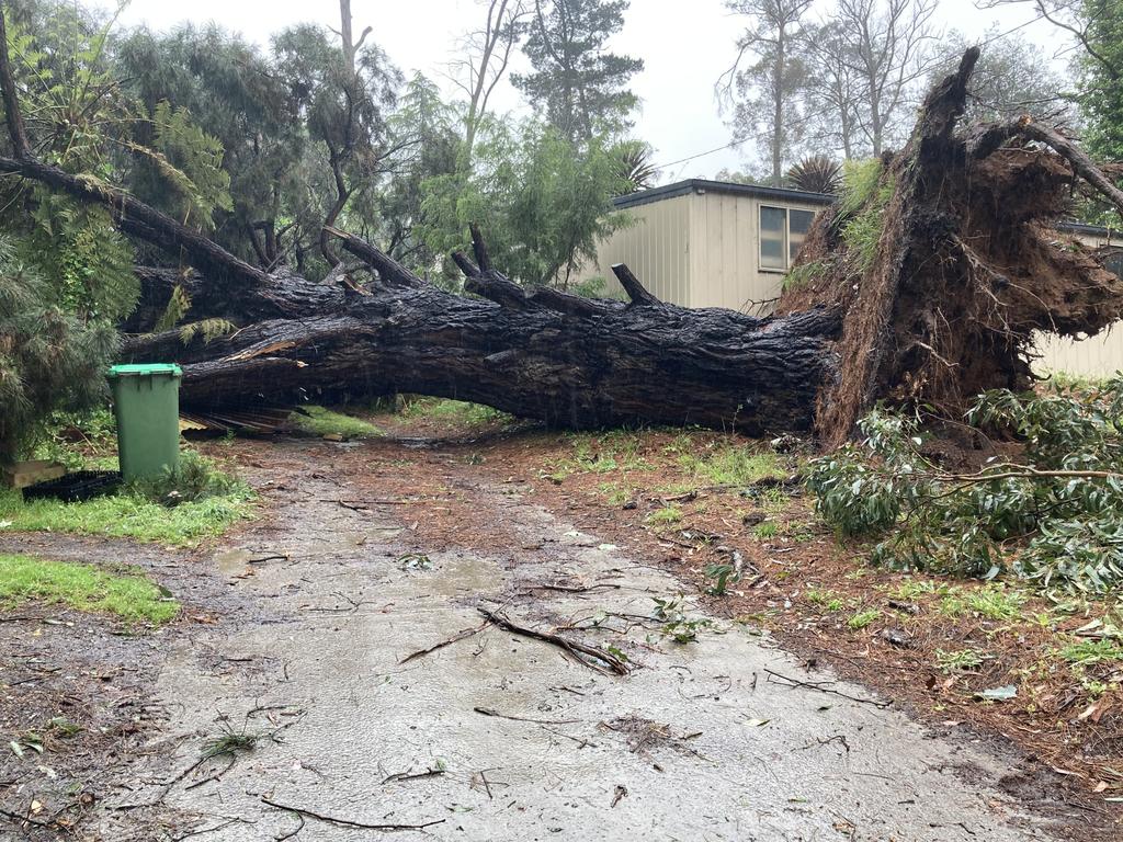 Melbourne storm: Damage to homes, SES volunteer’s narrow escape ...