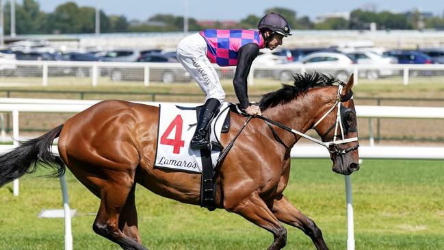 Dom To Shoot secured an All-Star Mile start after his pleasing first-up fourth in last Saturday’s Group 1 Futurity Stakes at Caulfield. Picture: Racing Photos via Getty Images