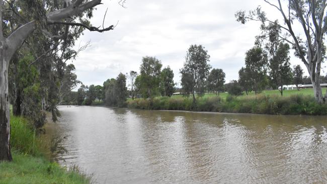 The Condamine River in Warwick was already swollen after a month of huge rainfall.