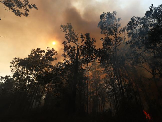 Firefighters battle bushfires in Busbys Flat, northern NSW, Wednesday, October 9, 2019. (AAP Image/Jason O'Brien)