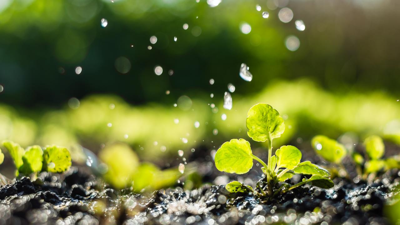 New technology to grow food quickly, and with less reliance on fertiliser is needed to feed the world’s population.